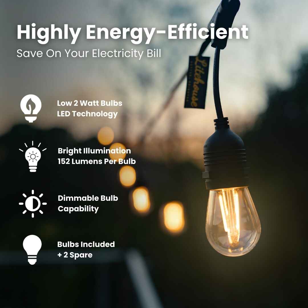 Plug-In Festoon Bulb String Lights - Image 9