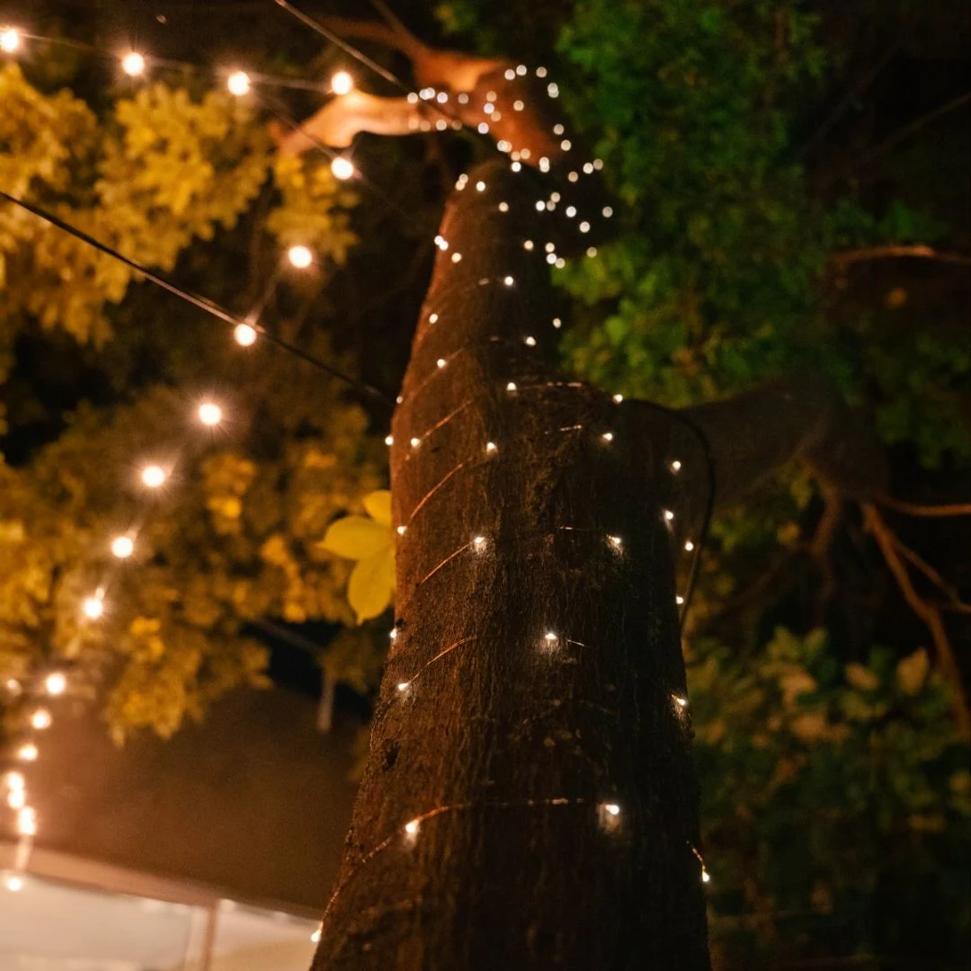 Copper Wire Solar Fairy Lights - Image 3