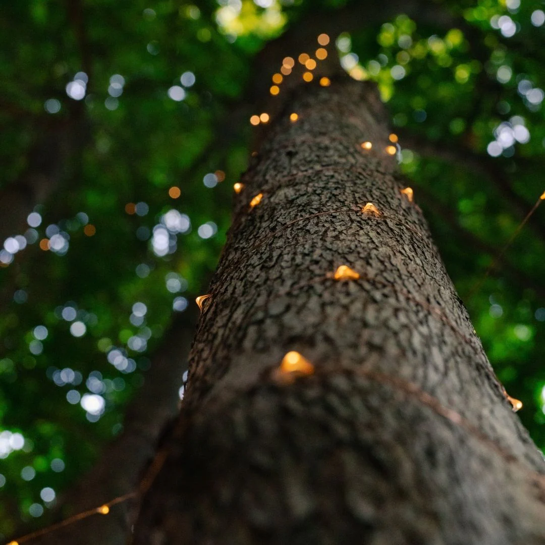 Copper Wire Solar Fairy Lights - Image 5