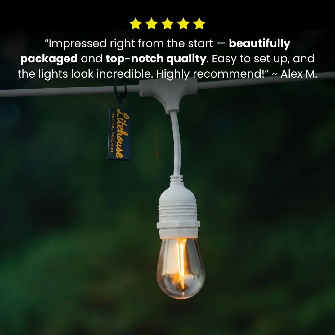Plug-In Festoon Bulb String Lights - White - Image 6