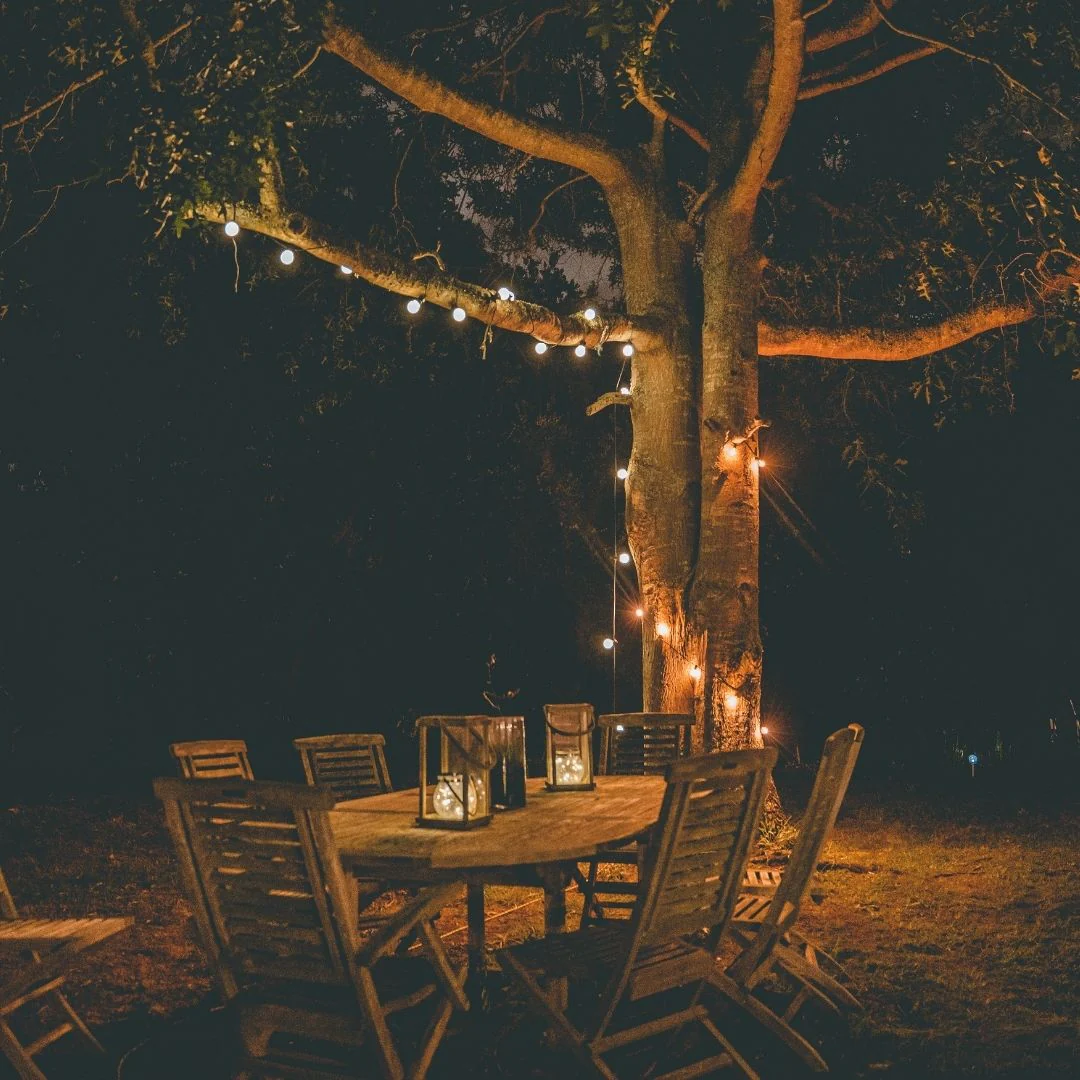 Solar Mini Bulb String Lights - Image 13